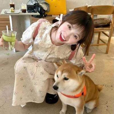 白象